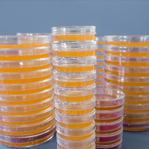 压敏胶消泡剂的应用产品 压敏胶消泡剂的应用产品